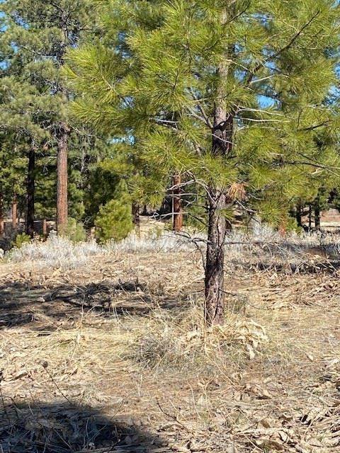 Portola, CA 96122,47 Blue Grouse Drive