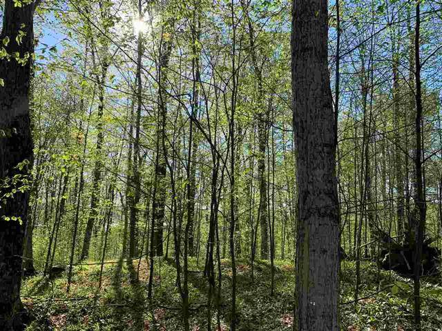 Boyne Valley Twp, MI 49712,LOT #84 MOUNTAIN VALLEY DRIVE