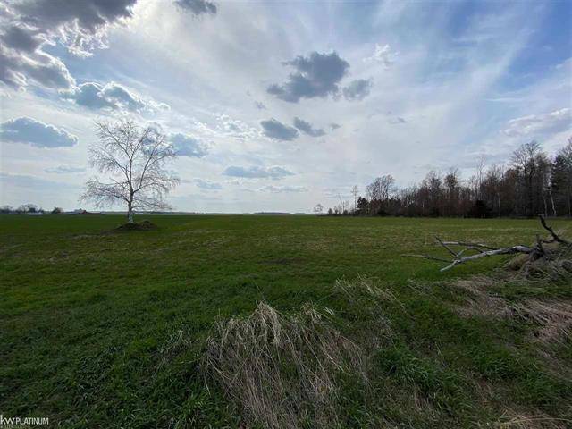 Forester Twp, MI 48427,0 MILLS RD