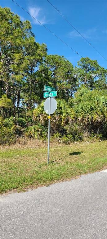 Port Charlotte, FL 33953,13462 CARRIE AVENUE