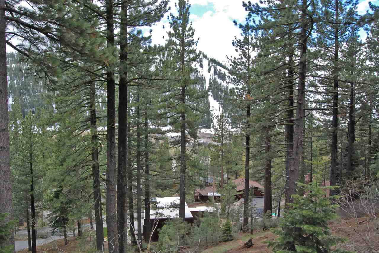 Squaw Valley, CA 96146,1549 Sandy Way