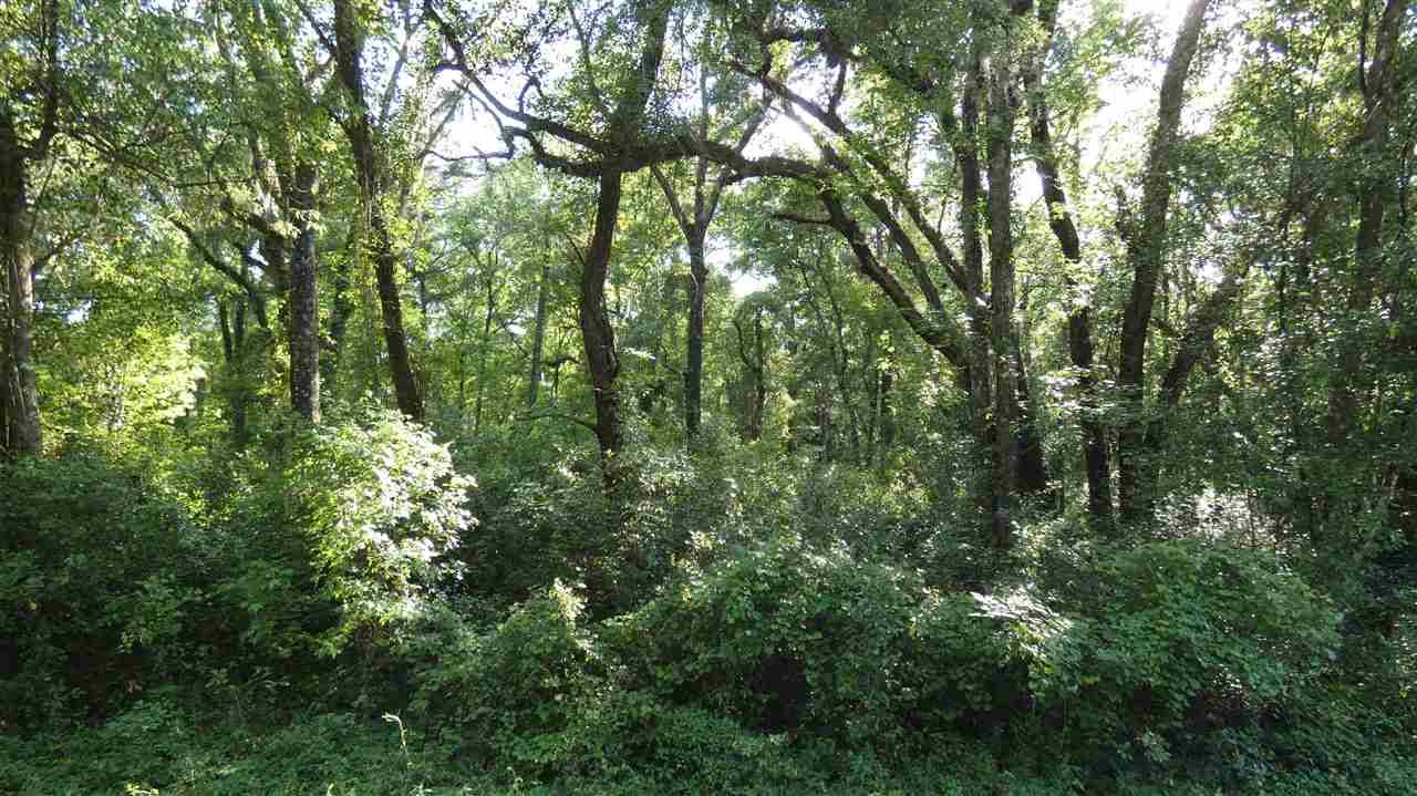 Monticello, FL 32344,tbd Ridge Road #0