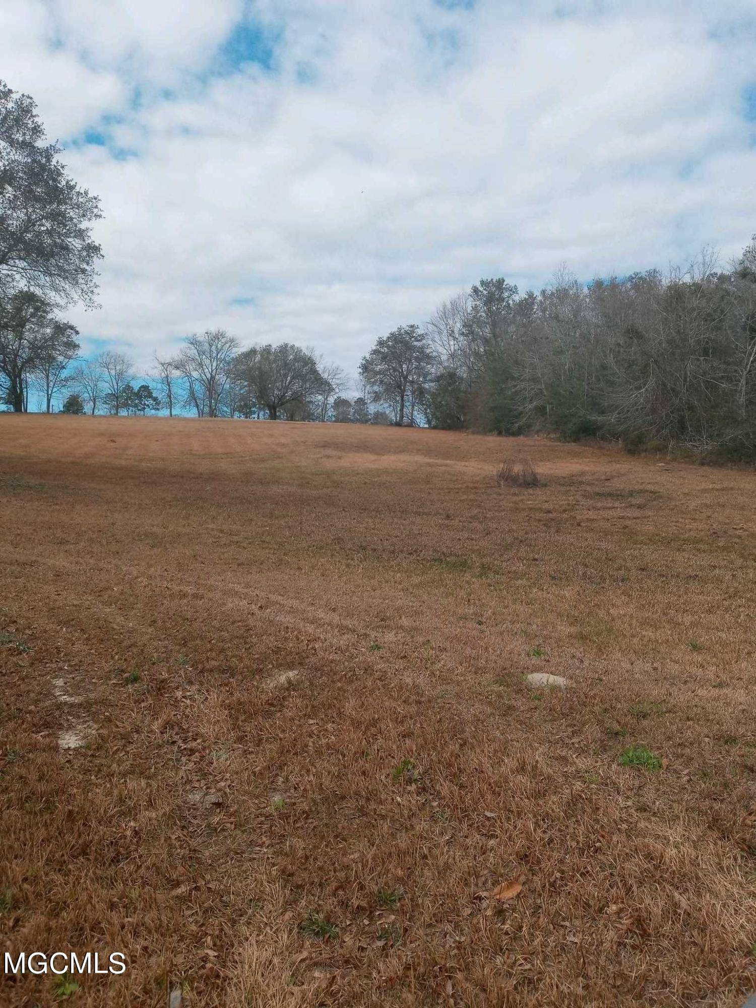 Gulfport, MS 39503,0 Herbage Dr