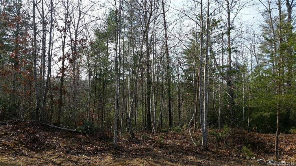 Nebo, NC 28761,291 Waters Edge Drive #11-16