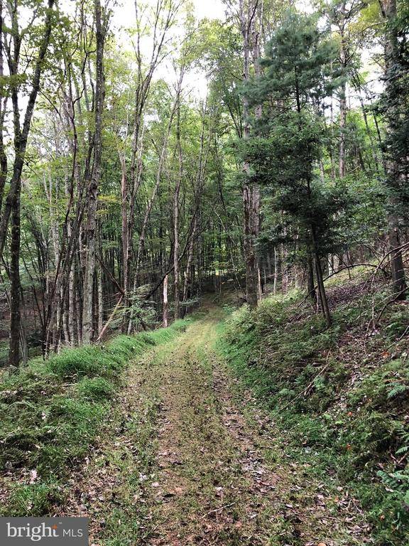 Sugar Grove, WV 26815,LOT #33 NATIVE TROUT DRIVE