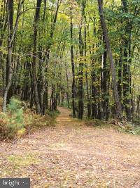 Sugar Grove, WV 26815,LOT #33 NATIVE TROUT DRIVE