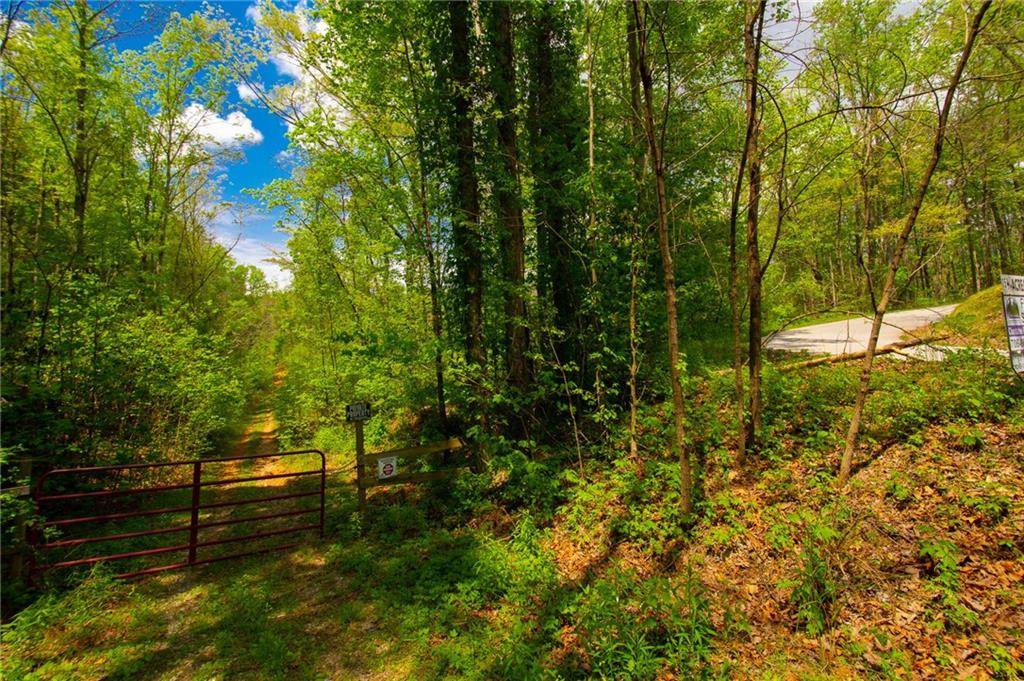 Dawsonville, GA 30534,Trct 5 Antioch Church Road RD