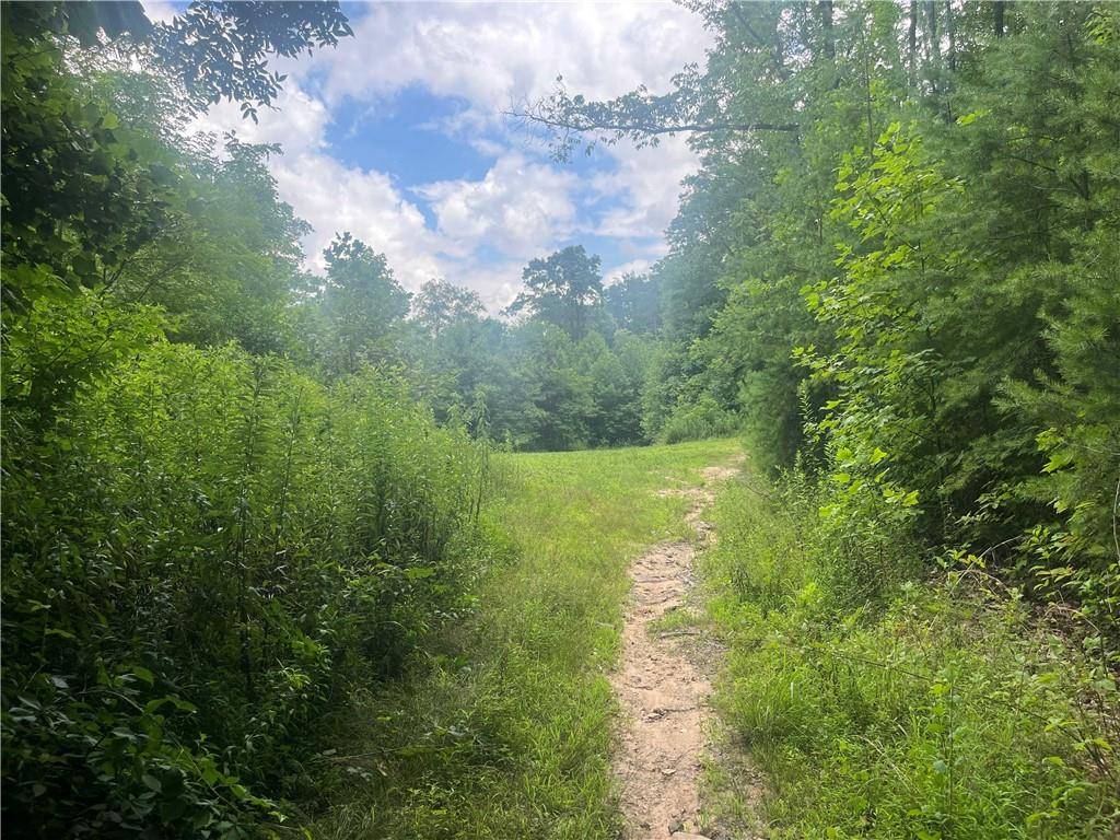 Dawsonville, GA 30534,Trct 4 Antioch Church RD