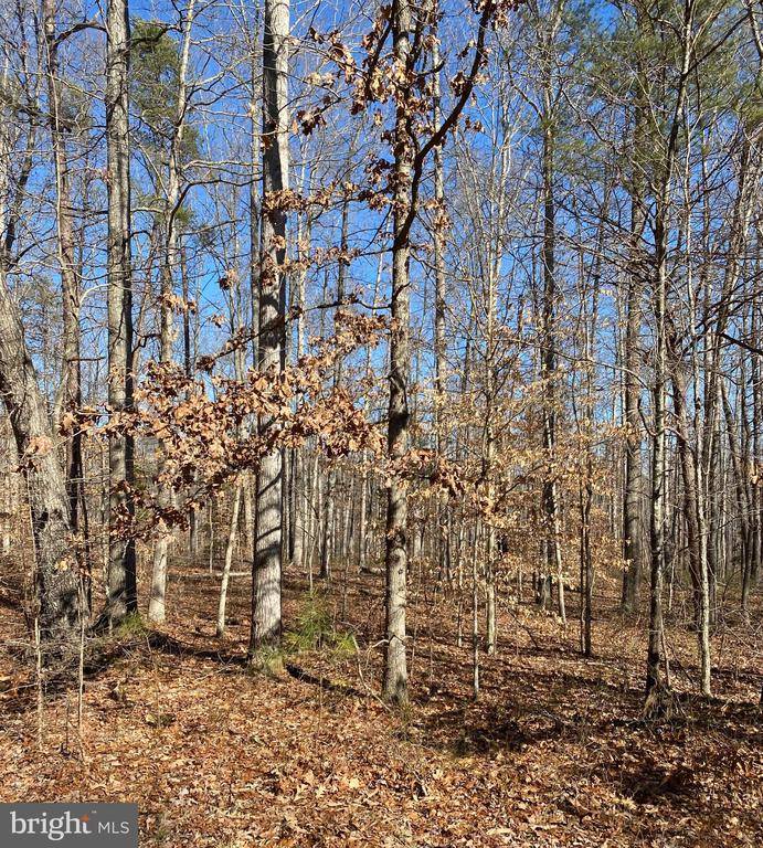 Midland, VA 22728,LOT 2 BRISTERSBURG RD