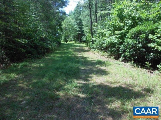 Shipman, VA 22971,LOT 14 LOBLOLLY CT CT #14