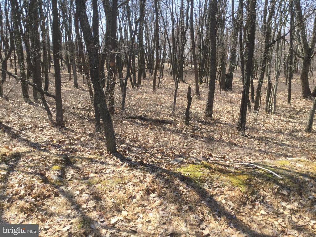 Hazle Township, PA 18202,LV LOT 417 WINTERBERRY WAY