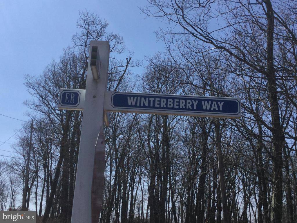 Hazle Township, PA 18202,LV LOT 417 WINTERBERRY WAY