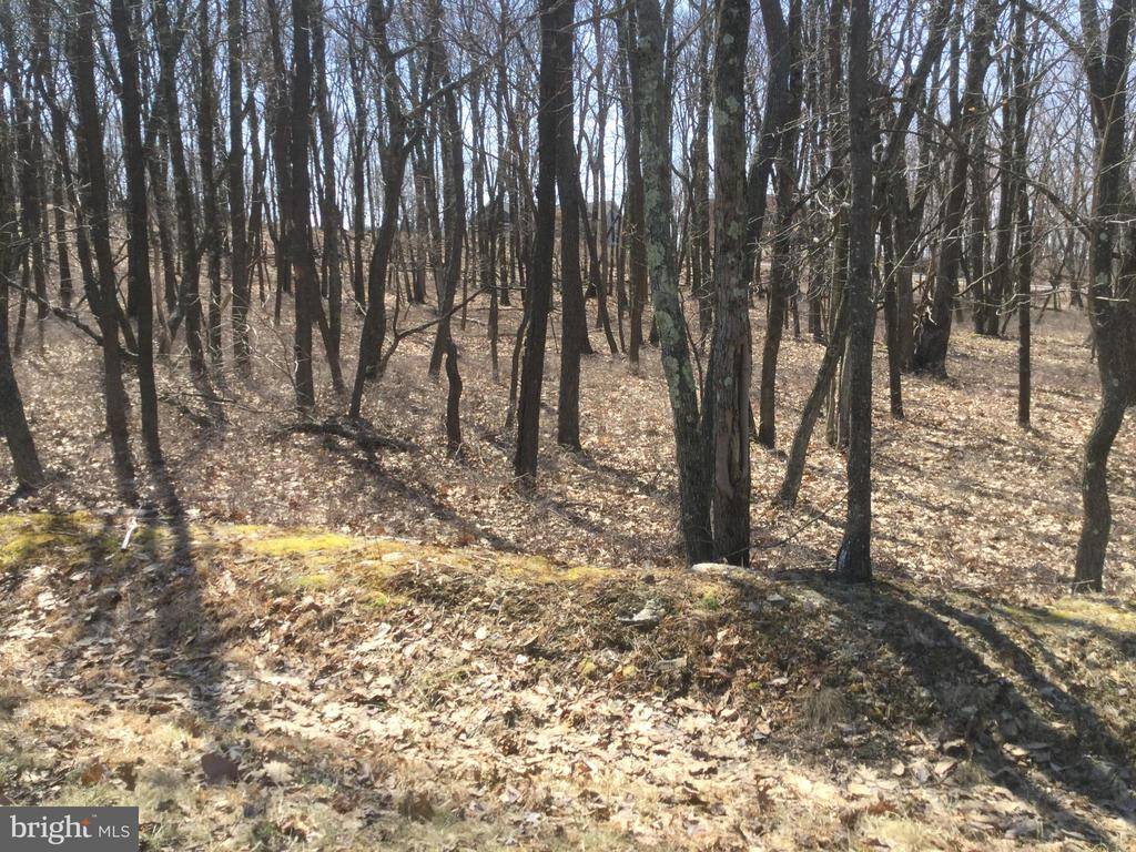 Hazle Township, PA 18202,LV LOT 417 WINTERBERRY WAY