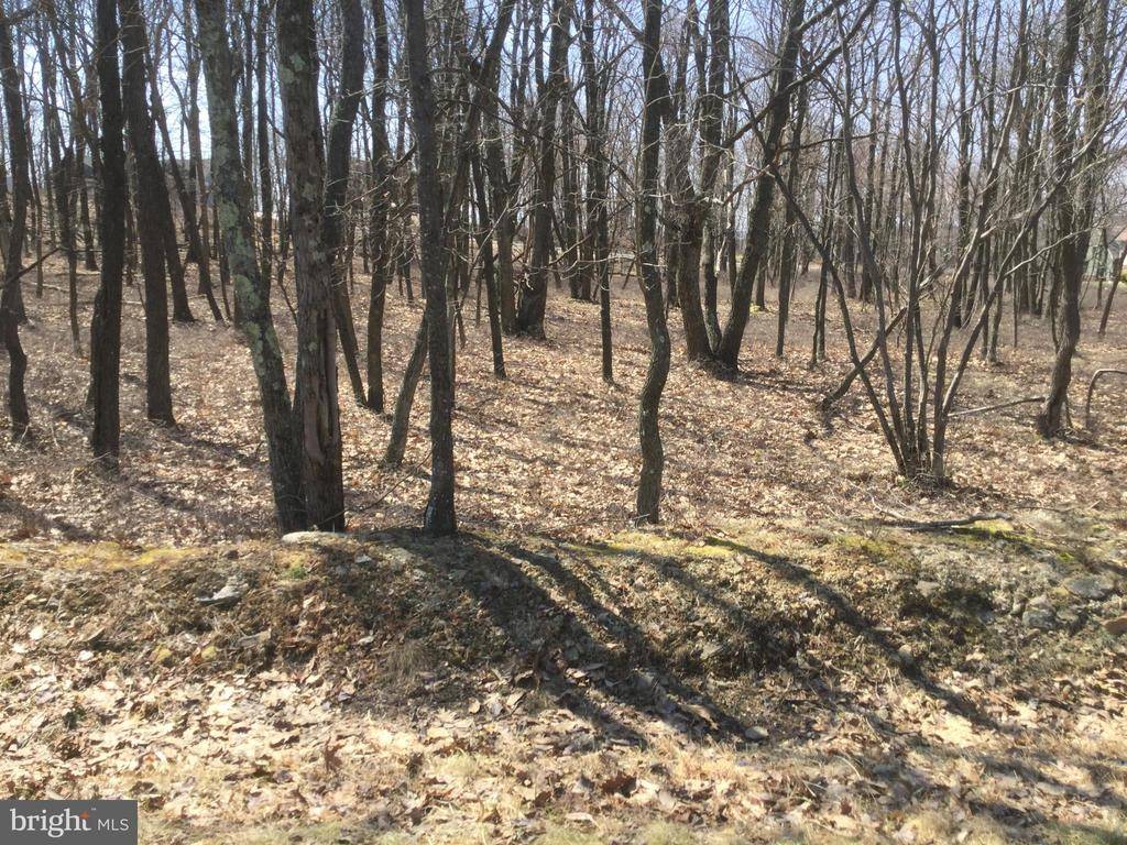 Hazle Township, PA 18202,LV LOT 417 WINTERBERRY WAY