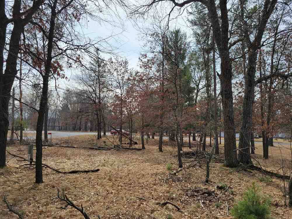 Nekoosa, WI 54457,329 Lions Tail Ct