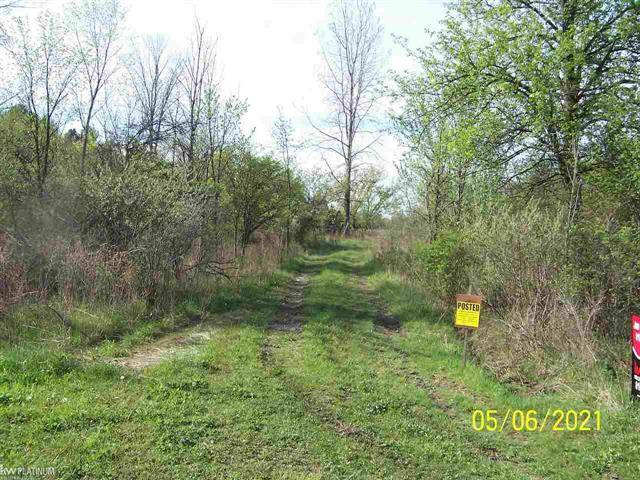 Kenockee Twp, MI 48006,BRENNAN RD VACANT