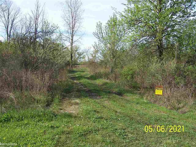 Kenockee Twp, MI 48006,BRENNAN RD VACANT