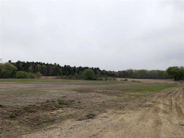 Washington Twp, MI 48401,00 APPLEGATE RD (20 ACRES)