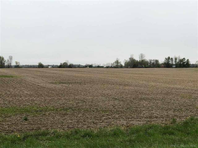 Washington Twp, MI 48401,00 APPLEGATE RD (35 ACRES)