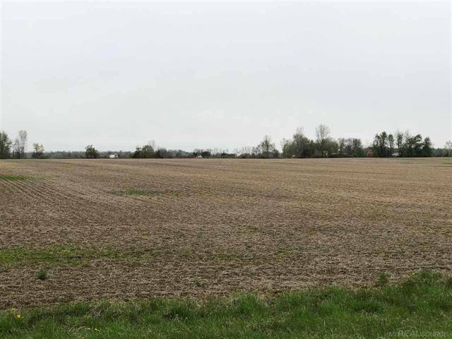 Washington Twp, MI 48401,00 APPLEGATE RD (35 ACRES)