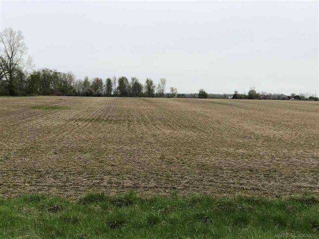 Washington Twp, MI 48401,00 APPLEGATE RD (35 ACRES)