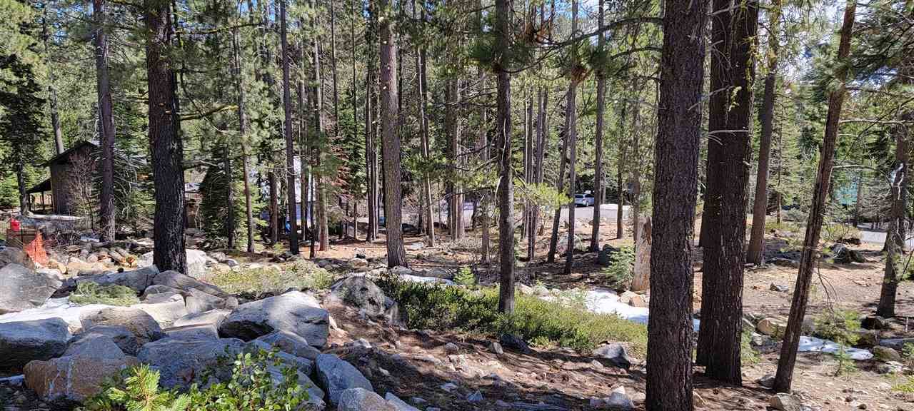 Truckee, CA 96161,16501 Jebs Court