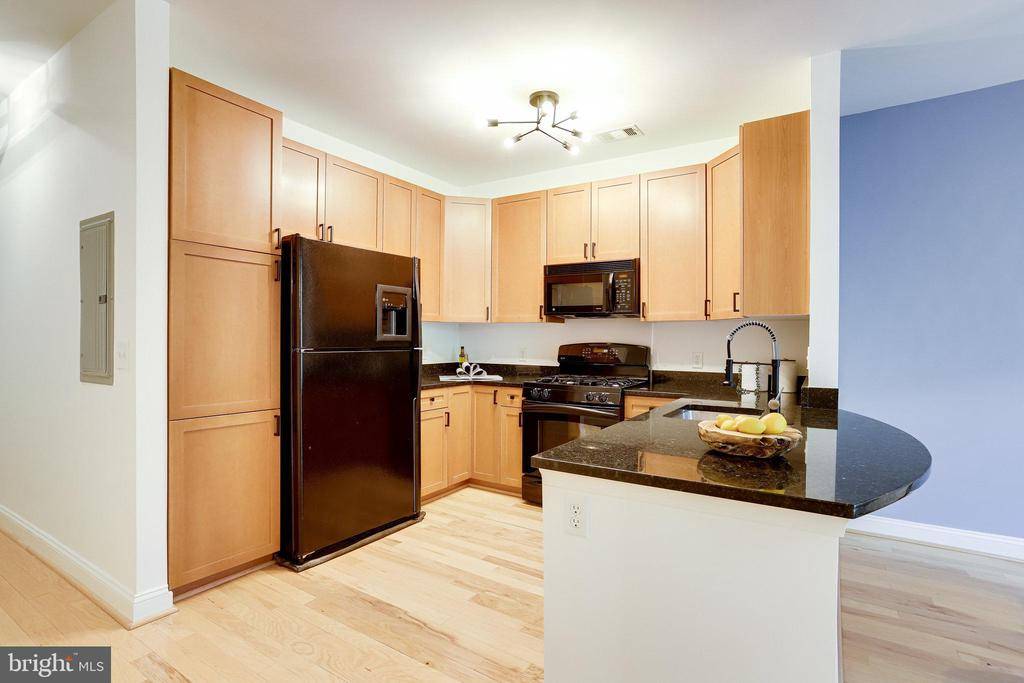 Arlington, VA 22209,1633 N COLONIAL TER #207