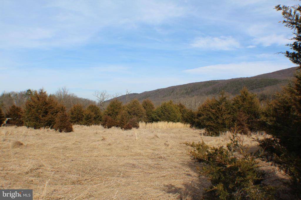 Upper Tract, WV 26866,16.77AC S MILL CREEK