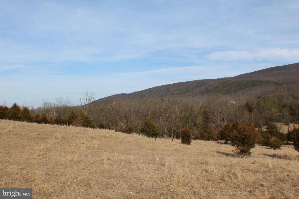 Upper Tract, WV 26866,16.77AC S MILL CREEK