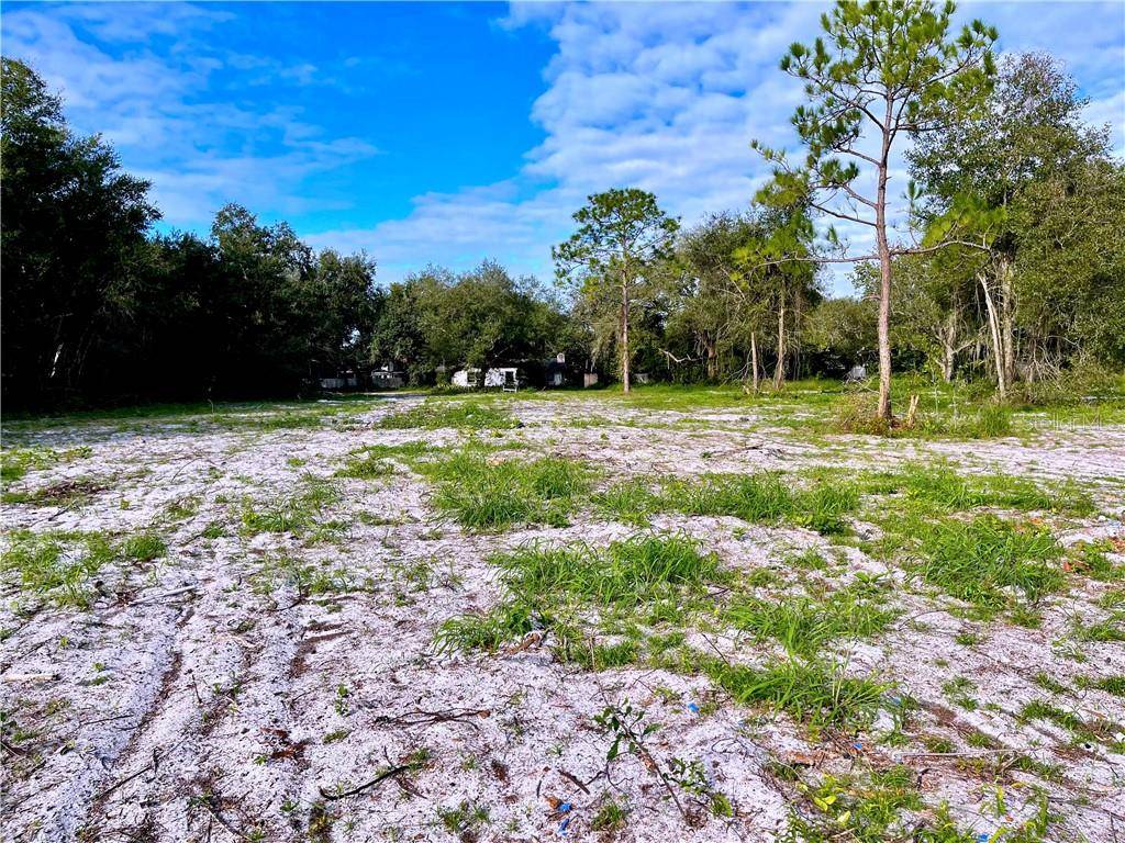 Gotha, FL 34734,933 7TH AVENUE