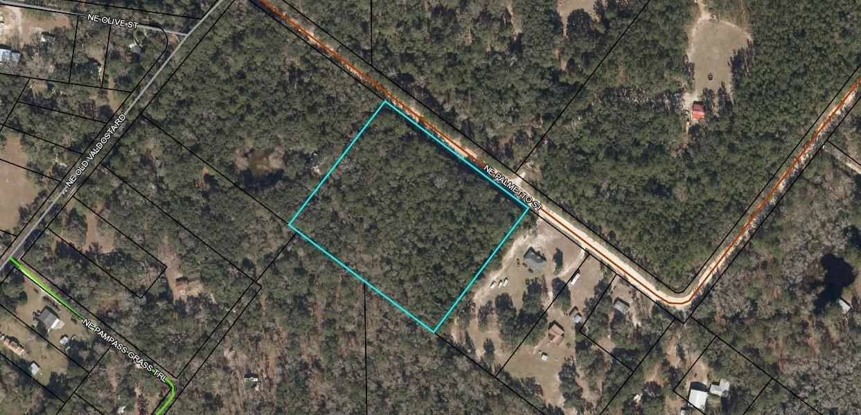 Pinetta (madison County), FL 32350,Vacant NE Palmetto Street