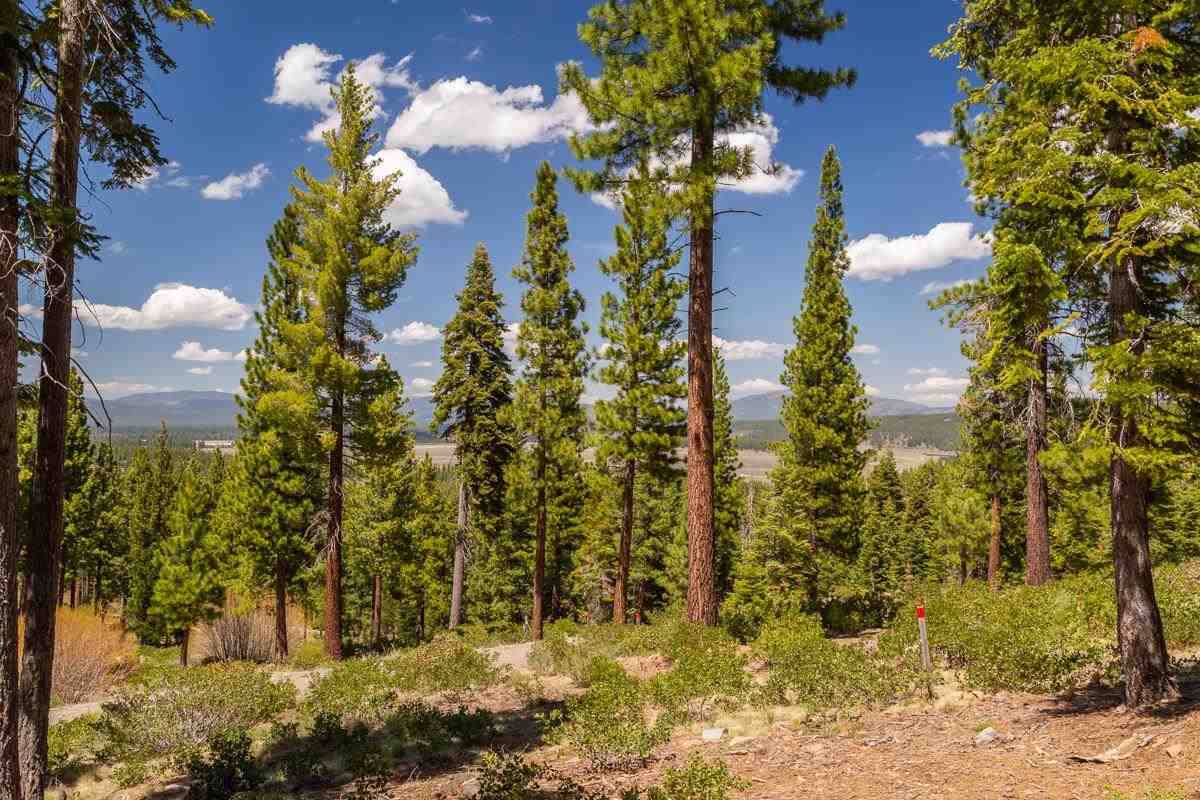 Truckee, CA 96161,9488 Dunsmuir Way