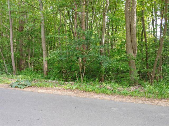 Saugatuck Twp, MI 49408,Lot 17-18 Pepper Brooke Lane