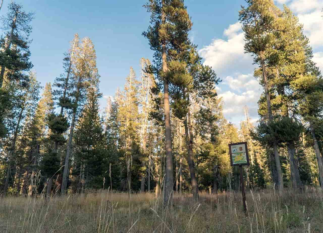 Norden, CA 95724,671 Mule Ears Drive