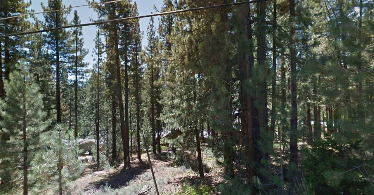 Truckee, CA 96161,11525 Rocky Lane