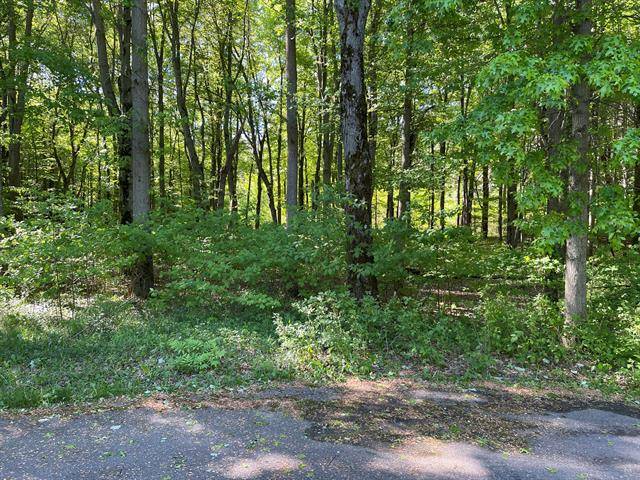 Port Sheldon Twp, MI 49424,0 Forest Drive