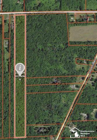 London Twp, MI 48160,1 GRAMES