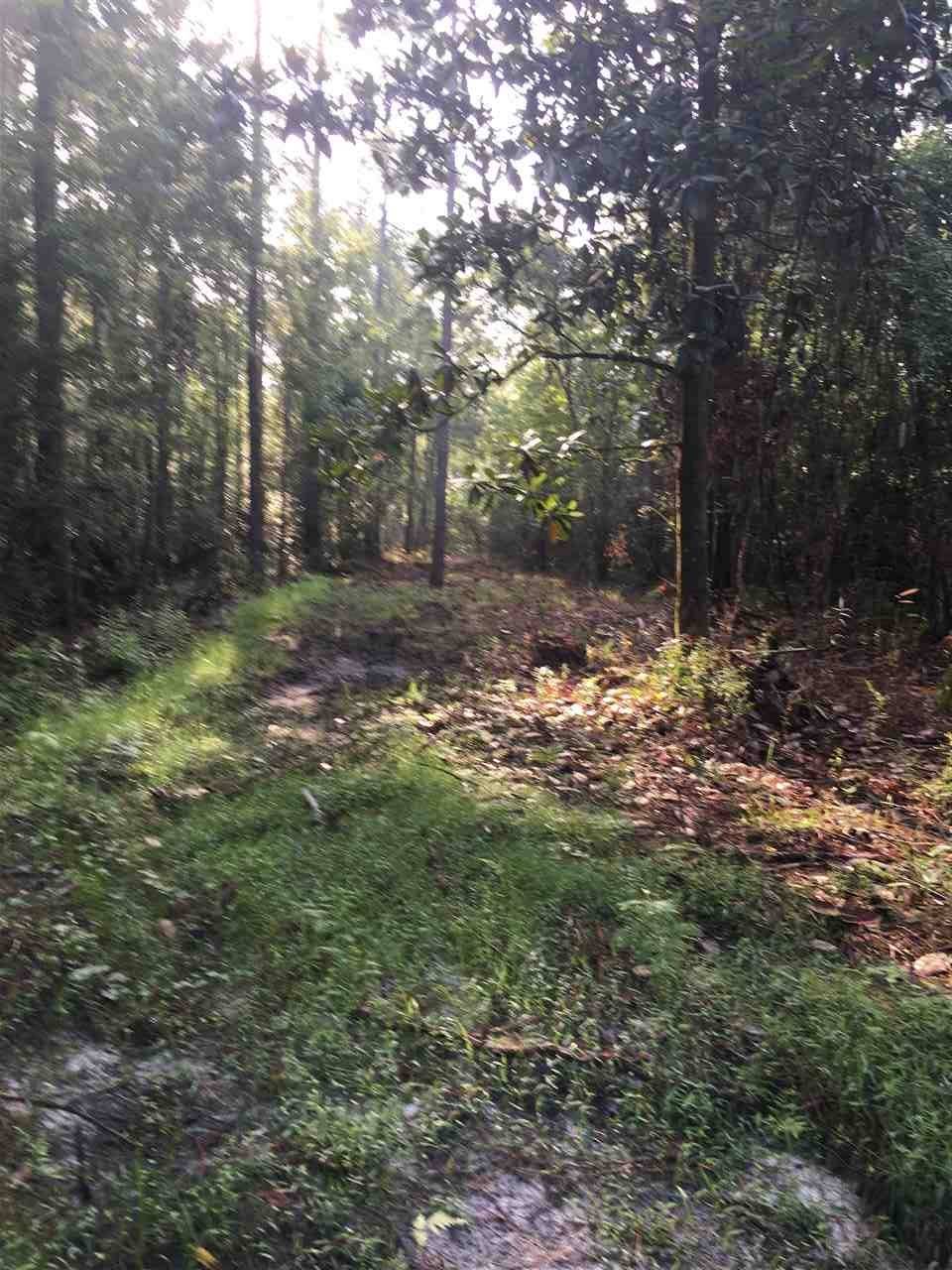 Crawfordville, FL 32327,XX Lighthouse Road #-