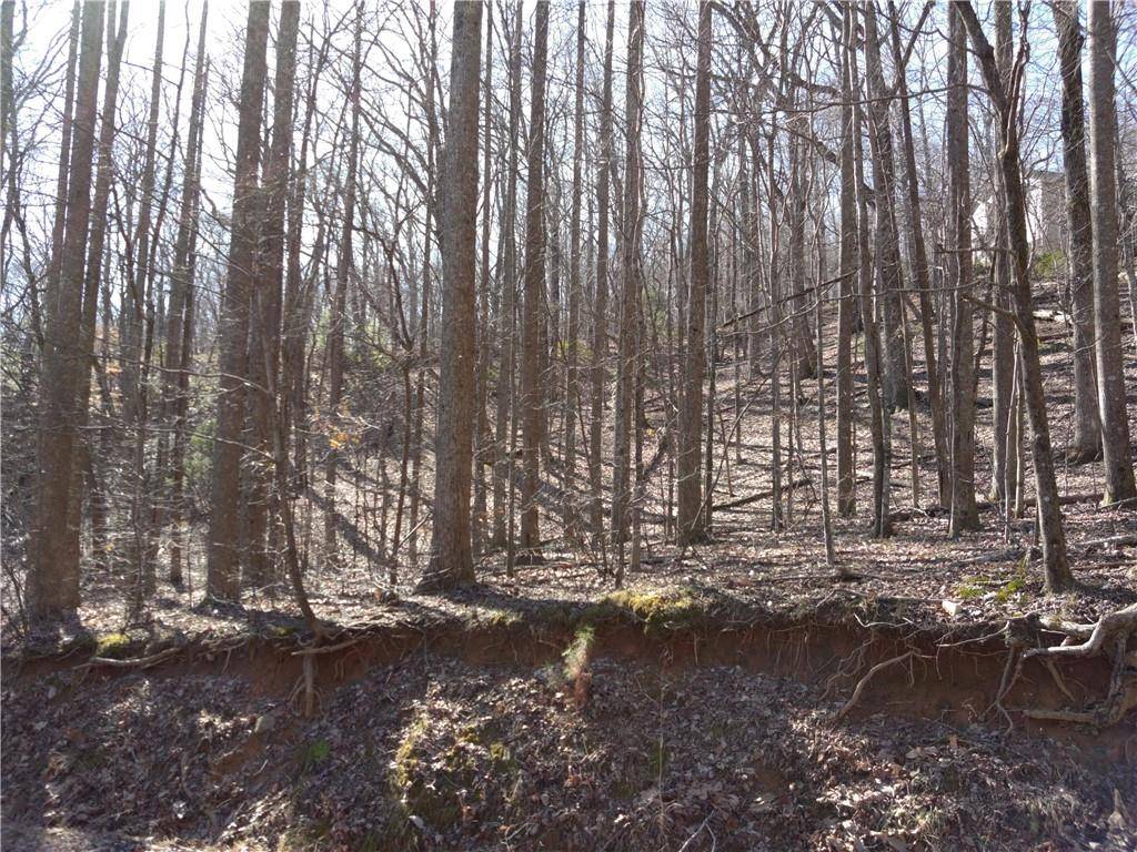Jasper, GA 30143,0 Buckeye CT