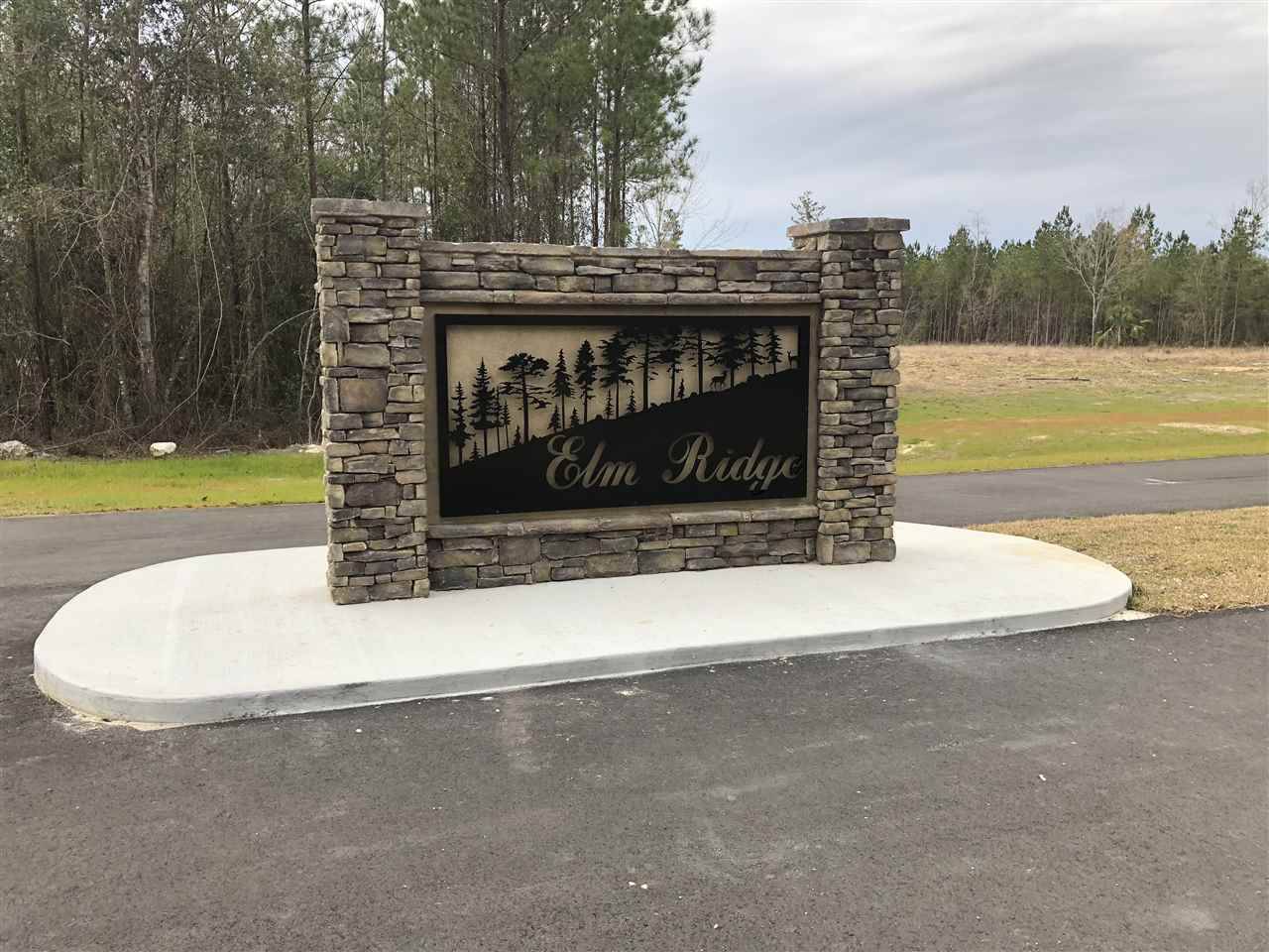 Crawfordville, FL 32327,Lot 6 Elm Ridge Loop #-