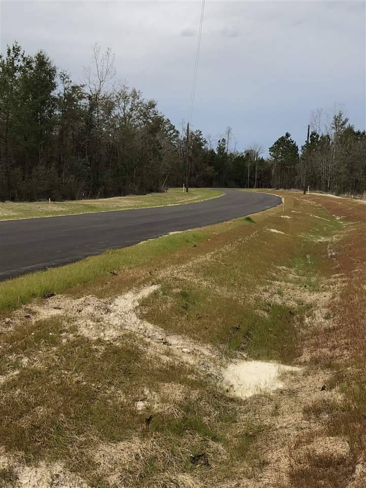 Crawfordville, FL 32327,Lot 6 Elm Ridge Loop #-