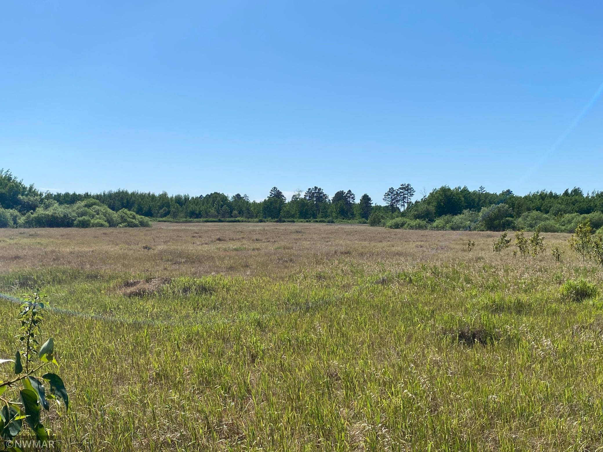 Bemidji, MN 56601,TBD County 9 Road NW