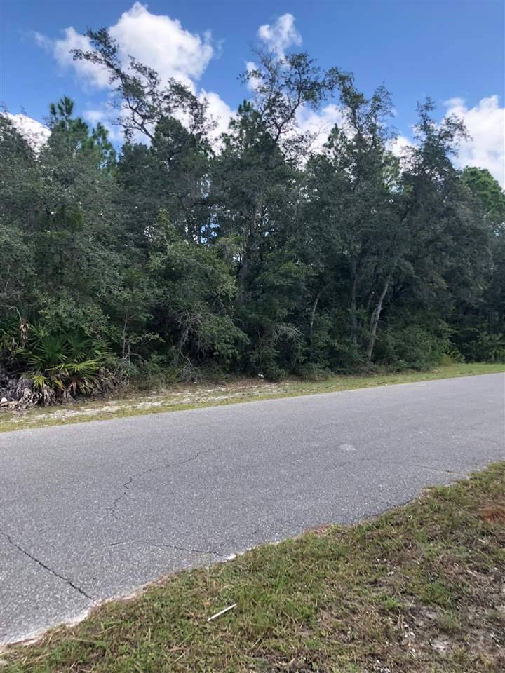 Steinhatchee, FL 32359,0 NE Sugar Hill Lot 90 Lane #0