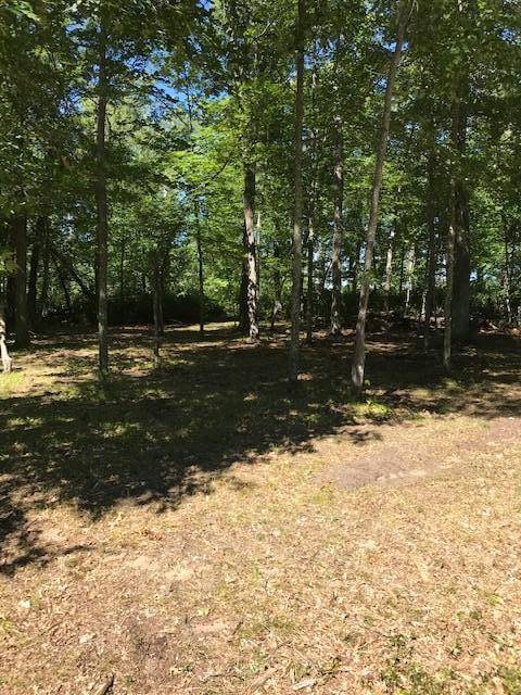 Merrifield, MN 56465,L4B4 Settler Trail