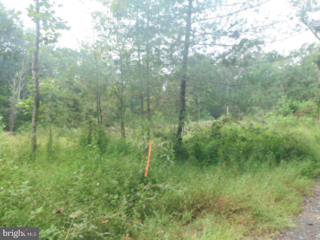 Rhoadesville, VA 22542,LOT 13 BELLEWOOD ACRES LN