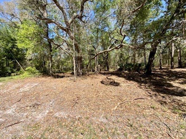 Madison County, FL 32340,Vacant NE Edgewater Circle