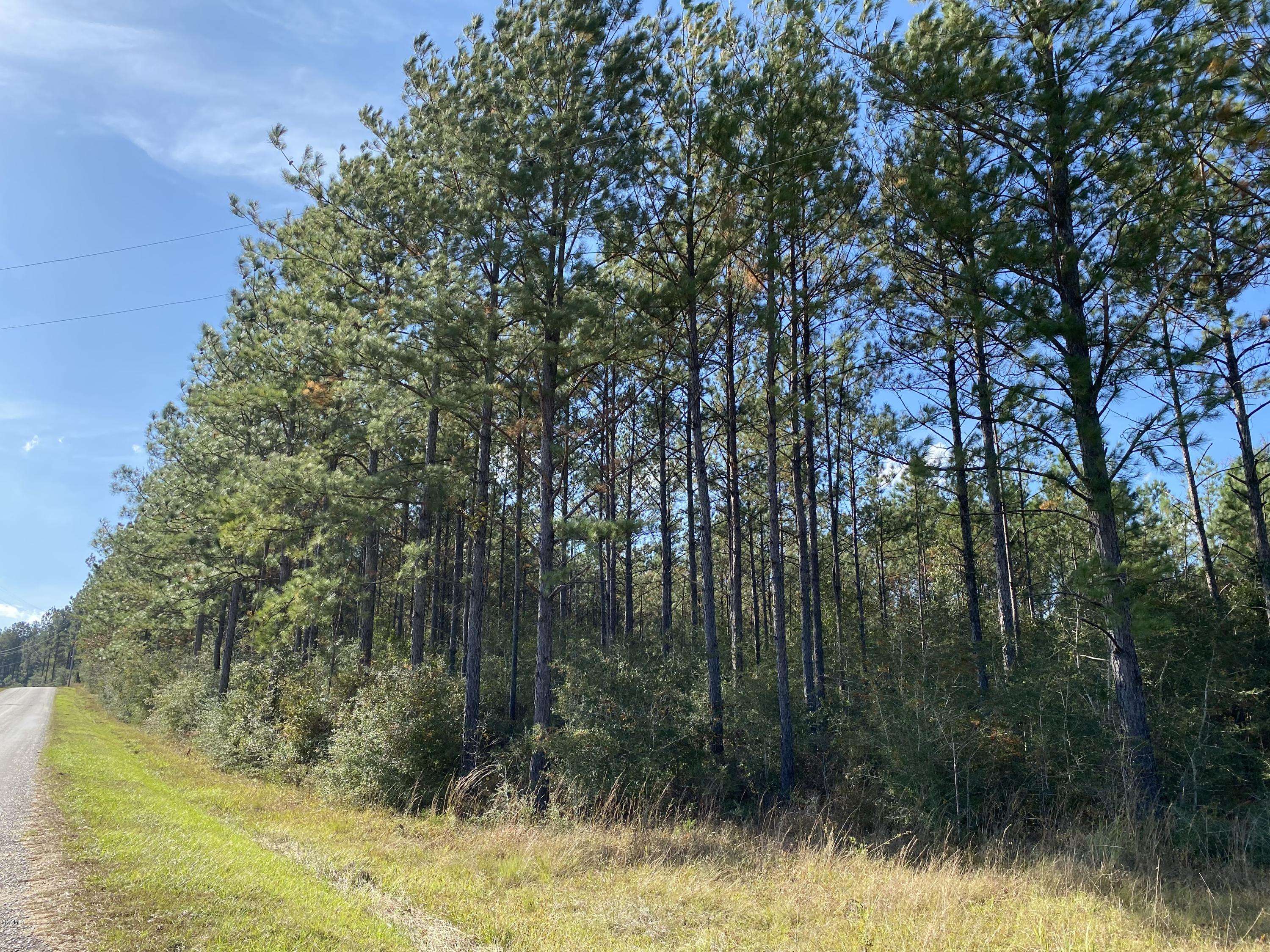 Poplarville, MS 39470,185 Mill Creek Rd