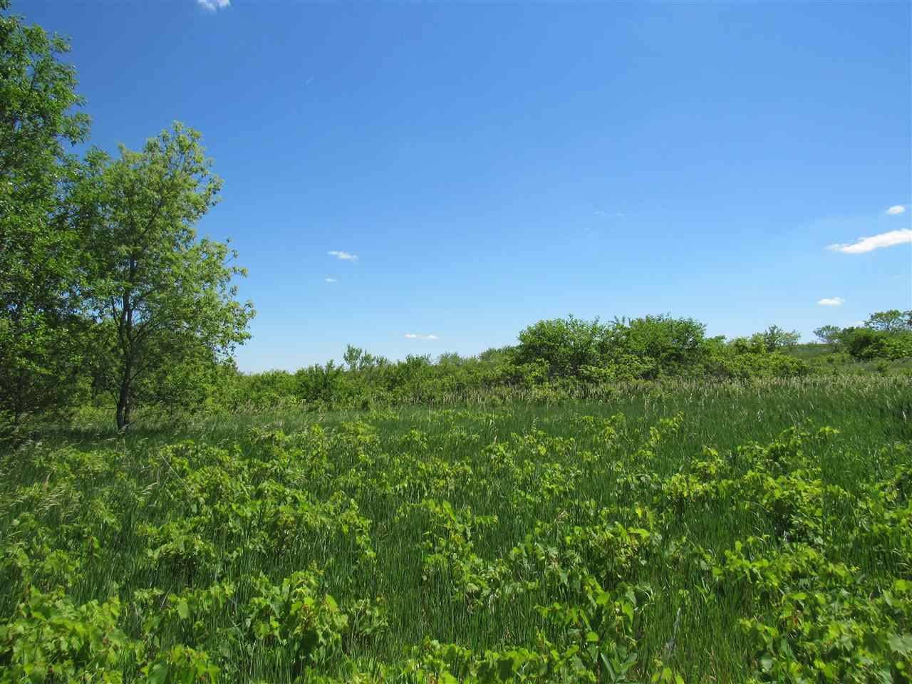 Monroe, WI 53566,Lot 5 Greenbush Estates