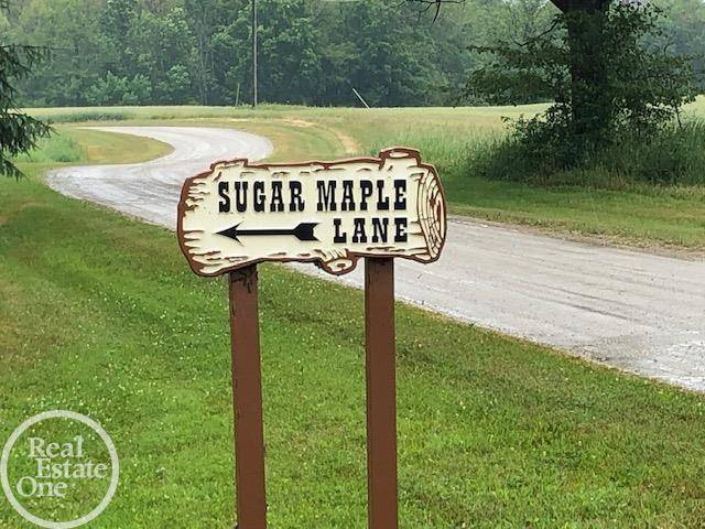 Clyde Twp, MI 48049,SUGAR MAPLE LANE