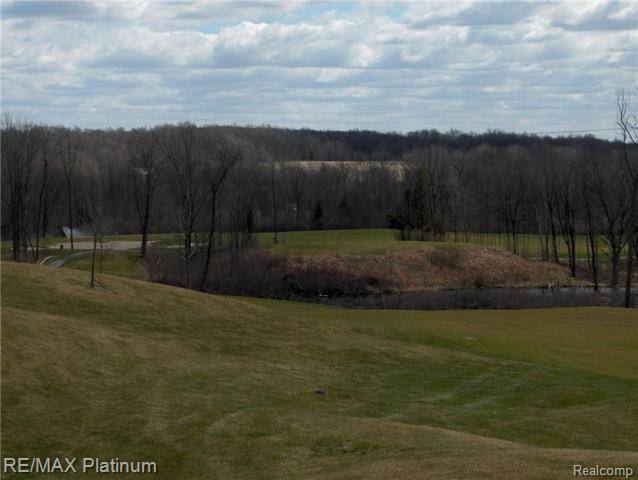 Tyrone Twp, MI 48430,LOT 35 PALMERS WAY